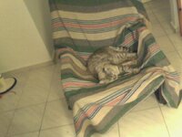 2012-10-14 23-51-47.287.jpg