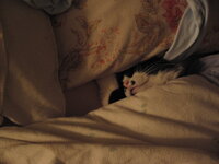 part2january2012 004.JPG