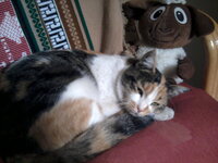 2012-11-12 12.39.43.jpg