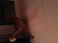 2012-11-16 21.28.18.jpg