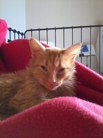 2012-11-18 15.37.35.jpg