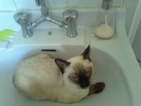 Φωτογραφία0509 - Αντίγραφο.jpg