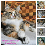 phyllia 7 months.jpg