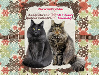 Casa and Breena jpg.jpg