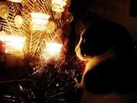 DSC00946 (800x600).jpg