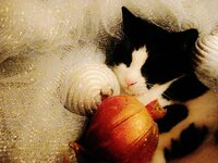 DSC00882 (800x600).jpg