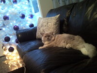 Απόλλωνας 77.jpg