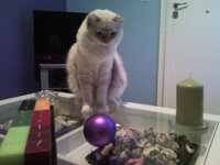 Απόλλωνας 78.jpg