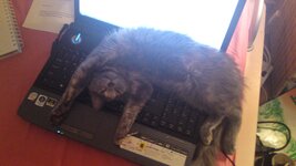 Aprosdioristikotita 170.jpg