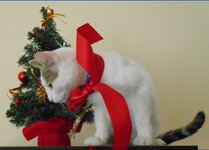 Αντίγραφο από χριστουγ.δεντράκι3.jpg