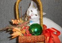 Αντίγραφο από χριστουγ.καλάθι3.jpg