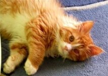 Γενάρης 2013.jpg