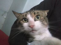 CAM00385.jpg CAM00385.jpg