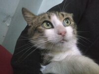 CAM00386.jpg CAM00386.jpg