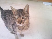 2013-02-05 15.50.35.jpg