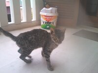 2013-02-05 15.50.48.jpg