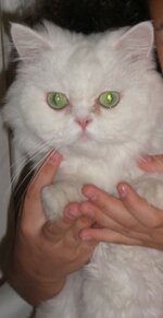 P6030576.JPG P6030576.JPG