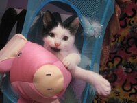 katafygio zarou 075.jpg