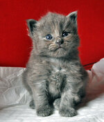 Argo 22 days olda.JPG