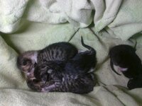 29032013764.jpg 29032013764.jpg