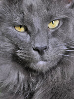 1 year 7 months oldc.JPG