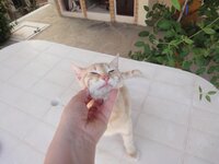 ΑΠΡΙΛΙΟΣ 2013 063.jpg