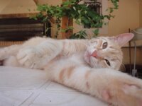 ΑΠΡΙΛΙΟΣ 2013 058.jpg