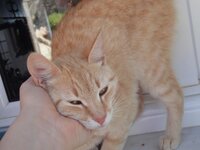 ΑΠΡΙΛΙΟΣ 2013 043.jpg