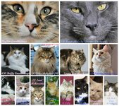 Phyllia + Casanova.jpg