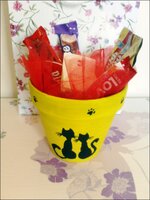 P110513_13.42.jpg P110513_13.42.jpg