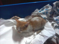 Photo-0062.jpg Photo-0062.jpg