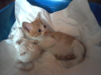 Photo-0065.jpg Photo-0065.jpg