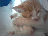 Photo-0067.jpg Photo-0067.jpg