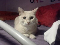 2012-12-16 00.09.54.jpg