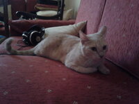 2012-09-29 17.39.59.jpg