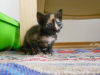 DSCN3098 - Αντίγραφο.JPG