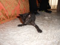 DSCN3120 - Αντίγραφο.JPG