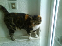 023 - Αντίγραφο.jpg