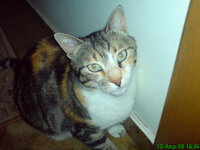 033 - Αντίγραφο.jpg