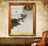 ΜΑΜΑΚΑ ΚΑΙ ΜΣΡΑΚΙ.jpg