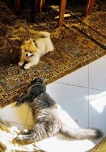 Asteris 5 monthsa.jpg