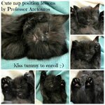 cute sleeping positions.jpg