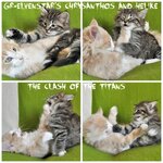 the clash of the titans.jpg