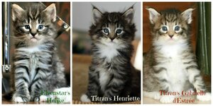 Henriette Helike Gabrielle.jpg