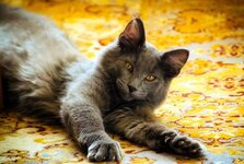 Asterios 7 months a.jpg