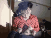 robert-smith-gif-cat.gif