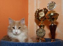 Chrysanthos with cups.jpg