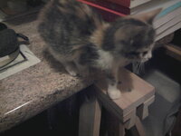 2013-11-19 19.33.44.jpg