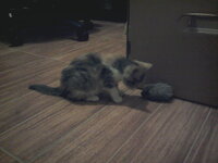 2013-11-19 20.43.29.jpg