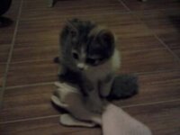 2013-11-19 20.53.43[7].jpg